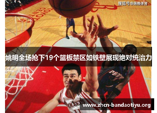 姚明全场抢下19个篮板禁区如铁壁展现绝对统治力 姚明全场抢下19个篮板禁区如铁壁展现绝对统治力