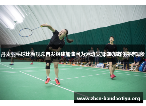 丹麦羽毛球比赛观众自发组建加油团为运动员加油助威的独特现象 丹麦羽毛球比赛观众自发组建加油团为运动员加油助威的独特现象