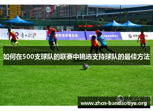 如何在500支球队的联赛中挑选支持球队的最佳方法 如何在500支球队的联赛中挑选支持球队的最佳方法