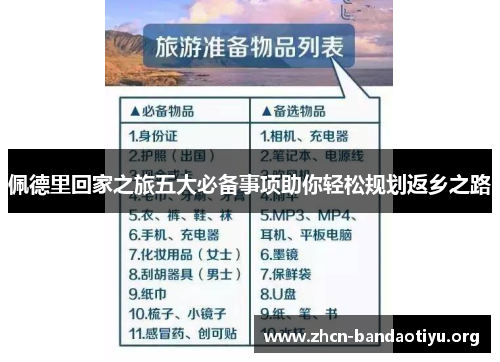 佩德里回家之旅五大必备事项助你轻松规划返乡之路 佩德里回家之旅五大必备事项助你轻松规划返乡之路