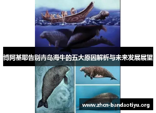 博阿基耶告别青岛海牛的五大原因解析与未来发展展望 博阿基耶告别青岛海牛的五大原因解析与未来发展展望