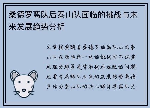 桑德罗离队后泰山队面临的挑战与未来发展趋势分析 桑德罗离队后泰山队面临的挑战与未来发展趋势分析