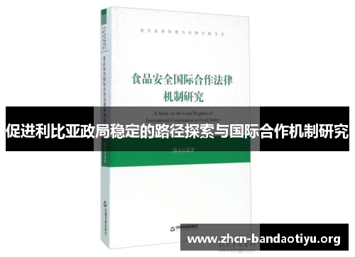 促进利比亚政局稳定的路径探索与国际合作机制研究 促进利比亚政局稳定的路径探索与国际合作机制研究