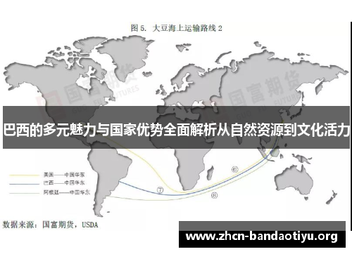 巴西的多元魅力与国家优势全面解析从自然资源到文化活力 巴西的多元魅力与国家优势全面解析从自然资源到文化活力