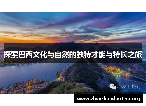 探索巴西文化与自然的独特才能与特长之旅