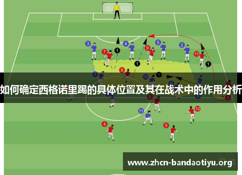 如何确定西格诺里踢的具体位置及其在战术中的作用分析