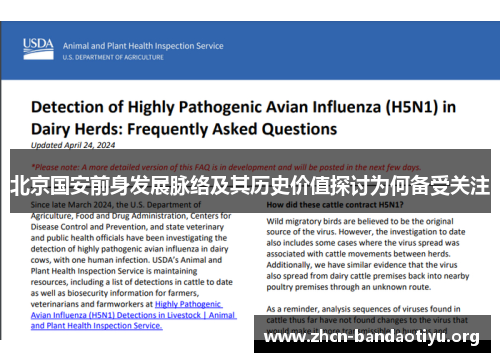 北京国安前身发展脉络及其历史价值探讨为何备受关注 北京国安前身发展脉络及其历史价值探讨为何备受关注