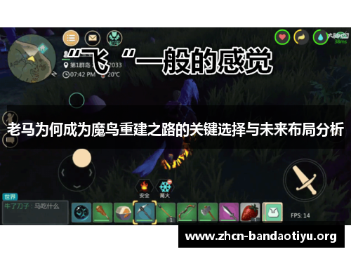 老马为何成为魔鸟重建之路的关键选择与未来布局分析 老马为何成为魔鸟重建之路的关键选择与未来布局分析