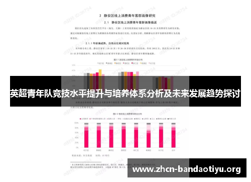 英超青年队竞技水平提升与培养体系分析及未来发展趋势探讨 英超青年队竞技水平提升与培养体系分析及未来发展趋势探讨