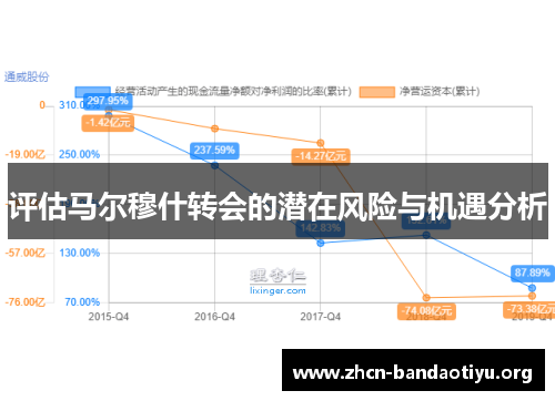 评估马尔穆什转会的潜在风险与机遇分析 评估马尔穆什转会的潜在风险与机遇分析