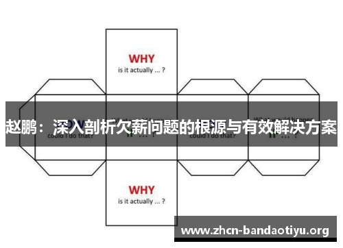 赵鹏:深入剖析欠薪问题的根源与有效解决方案 赵鹏:深入剖析欠薪问题的根源与有效解决方案